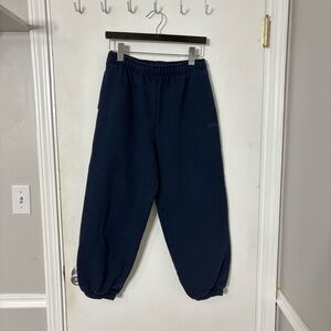 Aritzia Cozy Sweatfleece Mega Fit Jogger Admiral